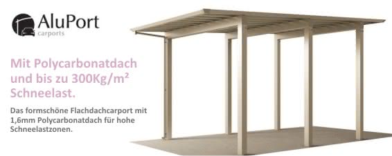 Das SHG mit 300Kg/m² Schneelast